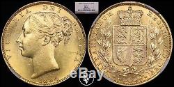 1884 S AUSTRALIA Gold Sovereign Shield MS63 NGC