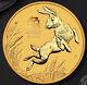 1/20oz 0.9999 Gold Bullion Australian Lunar Series Iii Year Of Rabbit 2023 Coin