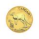 1/2 Oz 2024 Australian Kangaroo Gold Coin Perth Mint