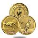 1/4 Oz Australian Kangaroo/nugget Gold Coin. 9999 Fine (random Year)