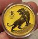 1oz Gold 999.9 Australian Lunar Year Of Tiger 2022 Bullion Coin Perth Mint