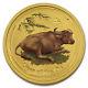 2009 1/4 Oz Gold Australian Lunar Year Of The Ox Colorized Coin Sku #56483