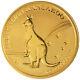 2009 1 Oz Australian Gold Kangaroo Coin