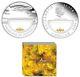 2010 Treasures Of Australia Gold Nugget Coin / 1oz Silver Proof