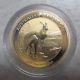 2013 1/4 Oz 9999 Gold Australian Kangaroo Coin