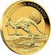 2015 1/2oz Australian Gold Kangaroo Coin. 9999 Fine Bu