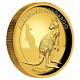 2016 Australian 1oz Kangaroo High Relief Gold Proof Coin Perth Mint # 244 Of 500