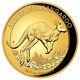 2017 $100 Australian Kangaroo 1 Oz Gold Proof High Relief Coin- Perth Mint