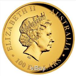 2017 $100 Australian Kangaroo 1 oz Gold Proof High Relief Coin- Perth Mint