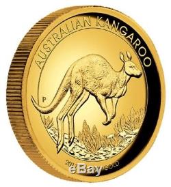 2017 $100 Australian Kangaroo 1 oz Gold Proof High Relief Coin- Perth Mint