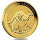 2017 1/2 Oz Australian Gold Kangaroo Perth Mint Coin. 9999 Fine Bu In Cap