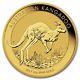 2017 1 Oz Gold Australian Kangaroo Coin. 9999 Fine Brilliant Uncirculated Bu
