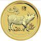 2019 Australia 1 Oz Gold Coin Lunar Series Year Of The Pig Perth Mint $100