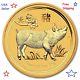 2019 Australian Lunar Series Ii Year Of The Pig 1/10 Oz Gold Bu Capsulated Coin