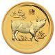 2019 Australian Lunar Series Ii Year Of The Pig 1/10 Oz Gold Bu Capsuled Coin