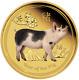 2019 Australian Lunar Year Of The Pig 1oz Gold Proof Colored $100 Coin Australia