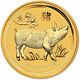 2019 P Australia Gold Lunar Series Ii Year Of The Pig 1/4 Oz $25 Bu