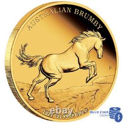 2022 $100 Australian Brumby 1oz Gold Proof Coin