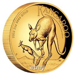 2022 2 oz Australian Kangaroo Proof High-Relief Gold Coin 0.9999 Fine Gold