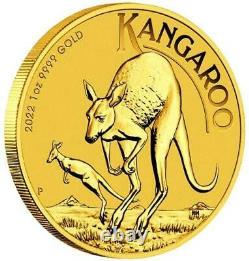 2022 Perth Mint Gold Kangaroo 1 oz Coin