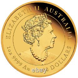 2023 Australian Lunar Year of the Rabbit 1 oz Gold Proof $100 Coin Series-3