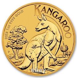 2023 P Australia Gold Kangaroo 1 oz $100 BU IN STOCK