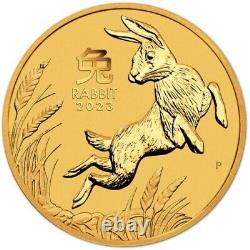 2023 P Australia Gold Lunar Series III Year of the Rabbit 10 oz Perth Mint $1000