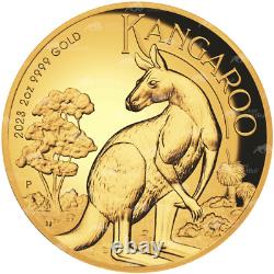 2 oz 2023 Australian Kangaroo High Relief Proof Gold Coin Perth Mint