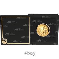 2 oz 2023 Australian Kangaroo High Relief Proof Gold Coin Perth Mint