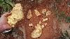 Aussie Gold Hunters There Is Huge Wealth Hidden In Deep Mountains And Forests Big Gold Nuggets