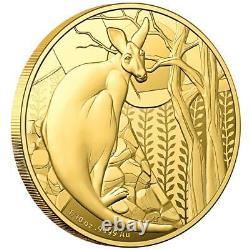 Australia 10 dollars 2022 Kangaroo-Impressions of Australia 1/10 Oz Gold PP