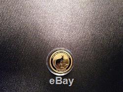 Australian Kangaroo $15 1/10oz Proof Gold Coin 2015