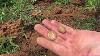 Coin Detecting Australian Outback