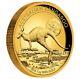 Genuine Australian Kangaroo 2015 1oz High Relief Gold Proof Coin Perth Mint