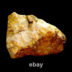 HUGE 843 GRAMS / 29.74oz Gold Bearing Quartz Specimen from Victoria, Australia
