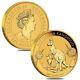 Lot Of 2 2020 1 Oz Australian Gold Kangaroo Perth Mint Coin. 9999 Fine Bu In