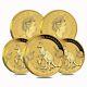 Lot Of 5 2020 1/10 Oz Australian Gold Kangaroo Perth Mint Coin. 9999 Fine Bu