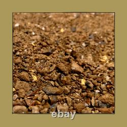 PREMIUM 600g / 21.16oz Australian Natural Gold Pay Dirt Pickers, Nuggets ++