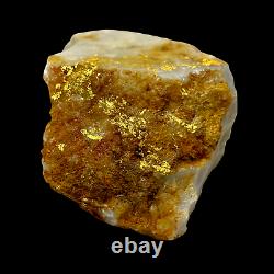 RARE 106 GRAMS / 3.74oz Gold Bearing Quartz Specimen from Victoria, Australia