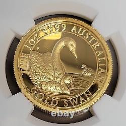RARE 2019 P Australia Gold Proof $100 Coin High Relief Swan NGC PF69 Ultra Cameo