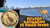 Unearthing My Gold Kangaroo Coin